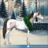 Horse Color:Liver Red Dun Sabino Tobiano Rabicano