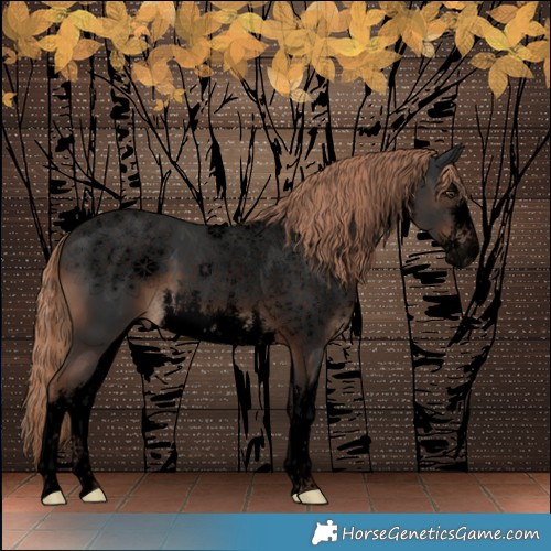 Horse Color:Void White Spotted Liver Chestnut 