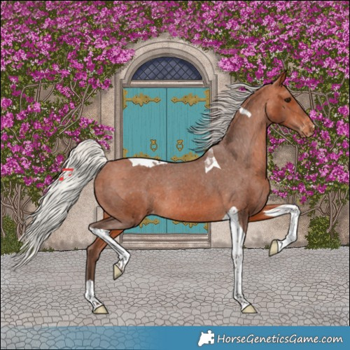 Horse Color:Silver Bay Tobiano Varnish Rabicano 