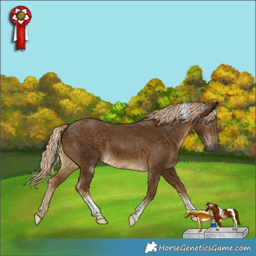 Horse Color:Chocolate Palomino Tobiano