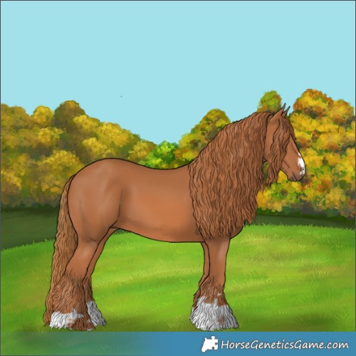 Horse Color:Chestnut 