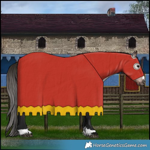 Horse Color:Gray Bay Near Leopard 