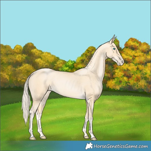 Horse Color:Palomino Pearl
