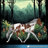 Horse Color:White Spotted Silver Brown Tobiano 