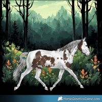 Horse Color:White Spotted Silver Brown Splash Tobiano 