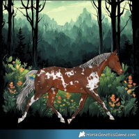 Horse Color:White Spotted Silver Bay 