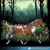 Horse Color:White Spotted Silver Bay 