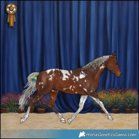 Horse Color:White Spotted Silver Bay Tobiano 