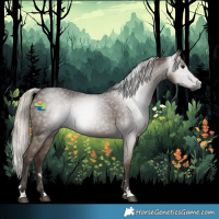 Horse Color:Gray Silver Black 