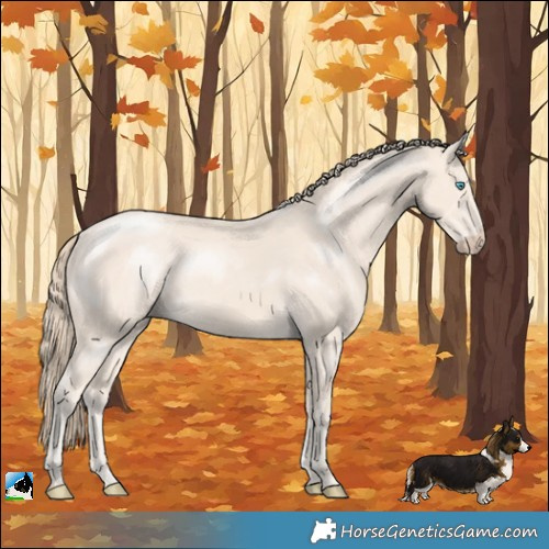Horse Color:Perlino Mushroom Rabicano 