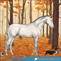 Horse Color:Perlino Mushroom Rabicano 