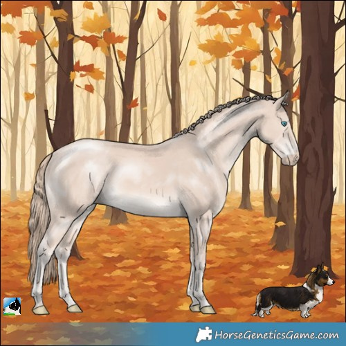 Horse Color:Perlino Mushroom 