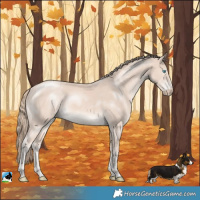Horse Color:Perlino Mushroom 
