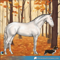 Horse Color:Perlino Mushroom Rabicano