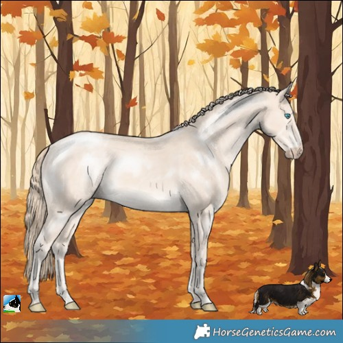 Horse Color:Perlino Mushroom Rabicano 