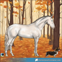 Horse Color:Perlino Mushroom Rabicano