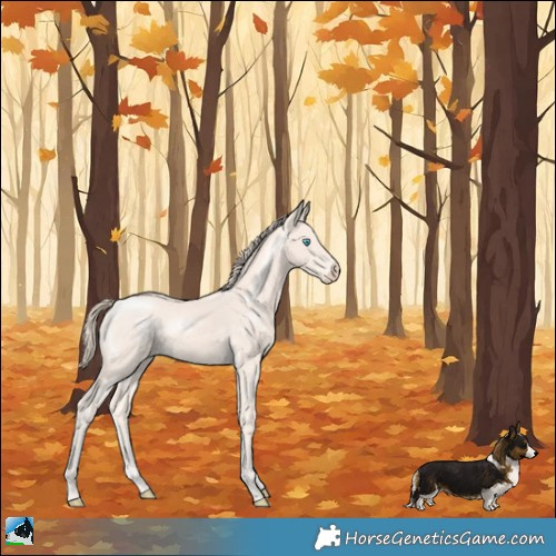 Horse Color:Perlino Mushroom Rabicano 