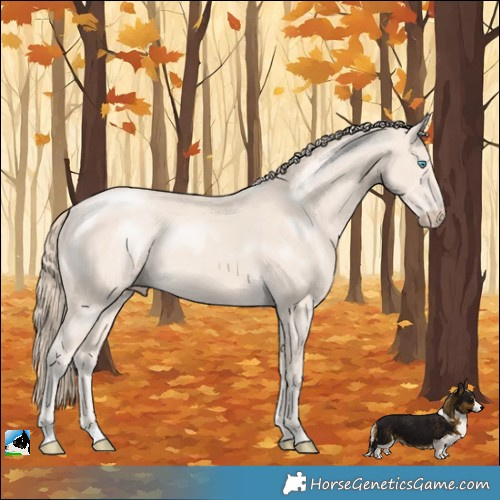 Horse Color:Perlino Mushroom Rabicano 