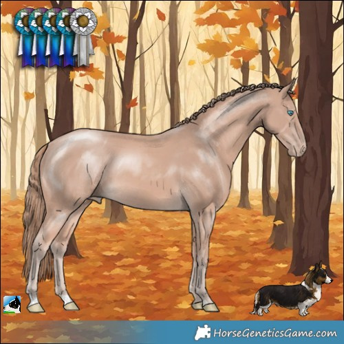 Horse Color:Perlino Mushroom Rabicano 