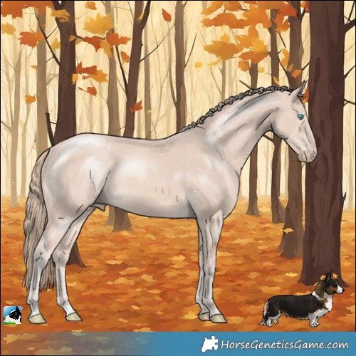 Horse Color:Perlino Mushroom Rabicano 