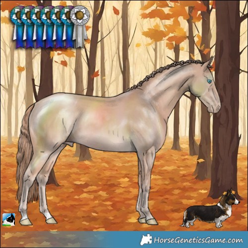Horse Color:Perlino Mushroom Rabicano 