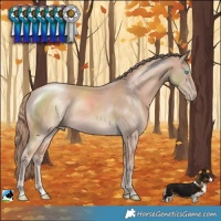 Horse Color:Perlino Mushroom Rabicano