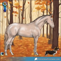 Horse Color:Perlino Mushroom Rabicano 