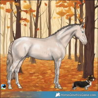 Horse Color:Perlino Mushroom Rabicano 