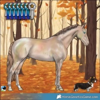 Horse Color:Perlino Mushroom Rabicano 