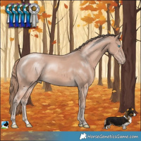 Horse Color:Perlino Mushroom Rabicano 