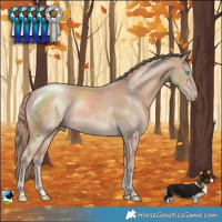 Horse Color:Perlino Mushroom Rabicano