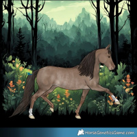 Horse Color:Liver Red Dun Rabicano 