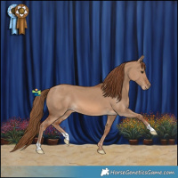 Horse Color:Red Dun 