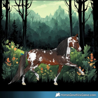 Horse Color:White Spotted Bay 