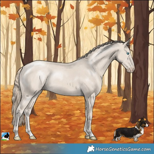 Horse Color:Smoky Creme Mushroom Rabicano 