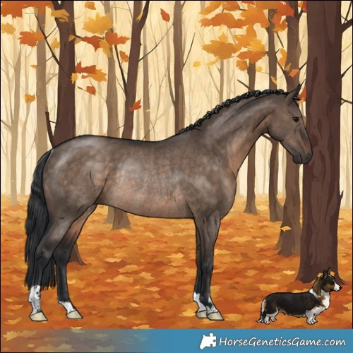 Horse Color:Brown Dun Rabicano 