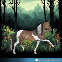 Horse Color:Bay Dun Tobiano 