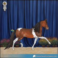 Horse Color:Bay Tobiano 