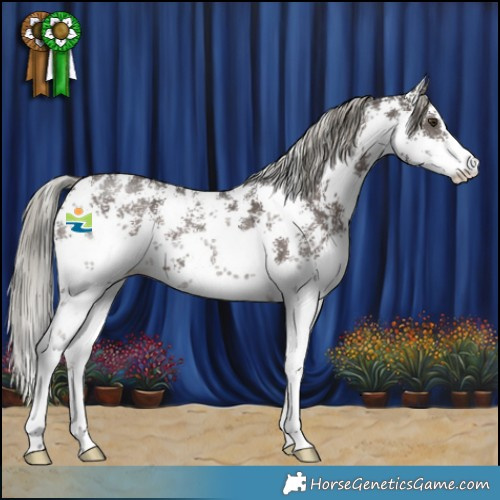 Horse Color:Liver Chestnut Mushroom Sabino