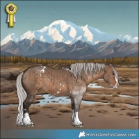 Horse Color:White Spotted Silver Brown Dun Splash Brindle