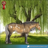 Horse Color:White Spotted Silver Buckskin Dun Splash Brindle 