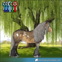 Horse Color:White Spotted Silver Buckskin Dun Splash Brindle 