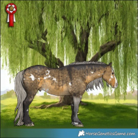 Horse Color:White Spotted Silver Buckskin Dun Splash Brindle