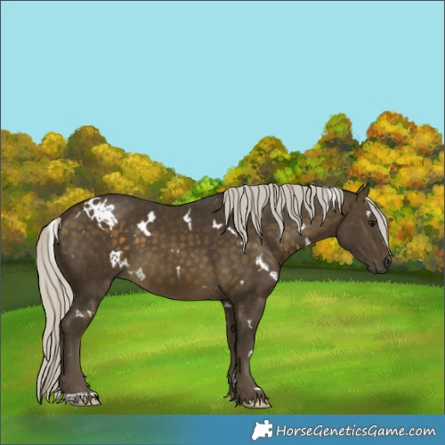 Horse Color:White Spotted Silver Buckskin 