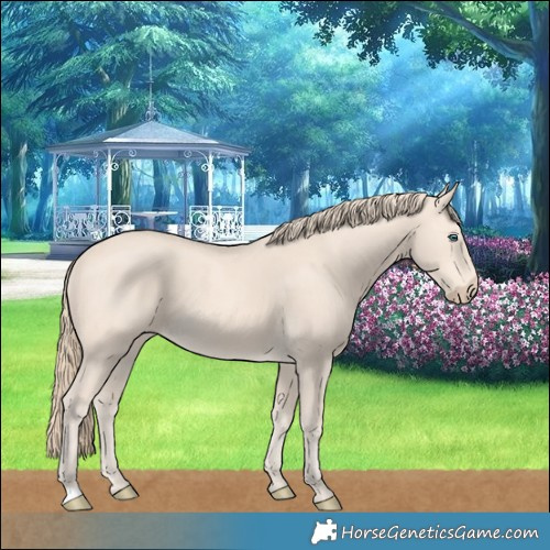 Horse Color:Perlino 
