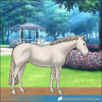 Horse Color:Perlino 