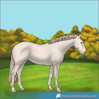 Horse Color:Perlino 