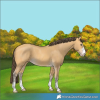 Horse Color:Amber Cream Champagne