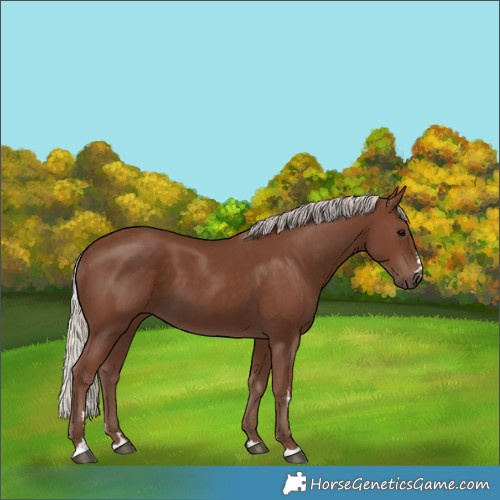 Horse Color:Silver Black 