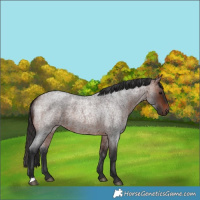 Horse Color:Bay Roan